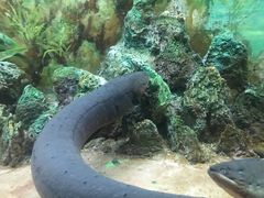 -乌鲁木齐海洋馆