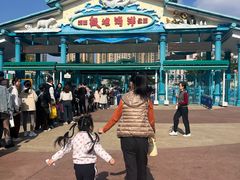 -海合安成都极地海洋公园