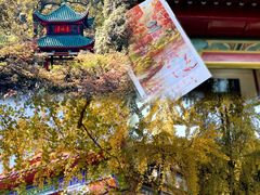 -岳麓山风景名胜区