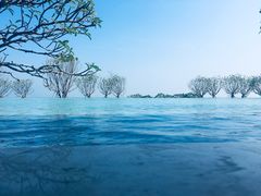 -汕头中海黄金海岸水上乐园
