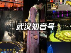 -武汉知音号