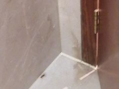 -杭州温德姆至尊豪廷大酒店