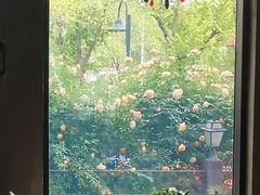 -Africafe(非洲咖啡)