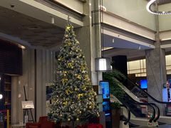 -上海虹桥宾馆(郁锦香品牌酒店)