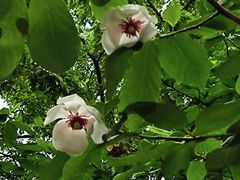 -丹东市五龙山风景区