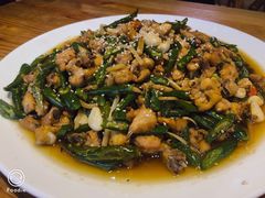 江津尖椒鸡-兔槽江湖菜·重庆璧山兔(水围店)
