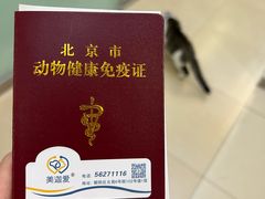 -美迦爱-牙专科·兔科·骨科诊疗中心(北苑店)