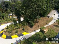 -圣淘沙天际线斜坡滑车