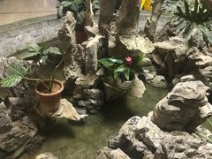 -爱伲牛肉火锅自助(景洪店)