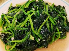 -鹤乡东北菜(崮山路店)