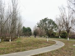 -白鹭湾湿地公园