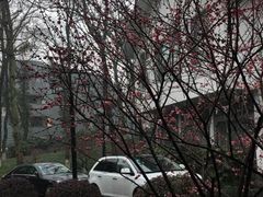 -杭州花家山庄