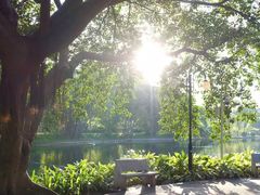 -晓港公园