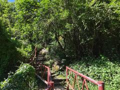 -大雁山风景区