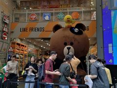 -line friends(明洞旗舰店)