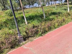 -水上乐园·欢乐世界