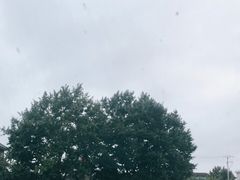 -上海市龙华烈士陵园