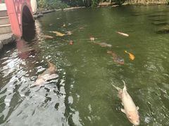 -广州花园酒店