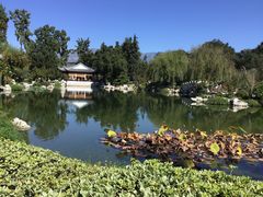 -汉庭顿图书馆