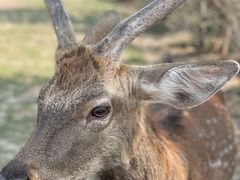 -野鸭湖国家湿地公园