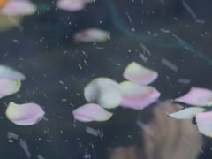 -北京益泉花园酒店