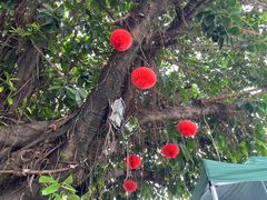 -五谷芳乳鸽王(梅沙老店)