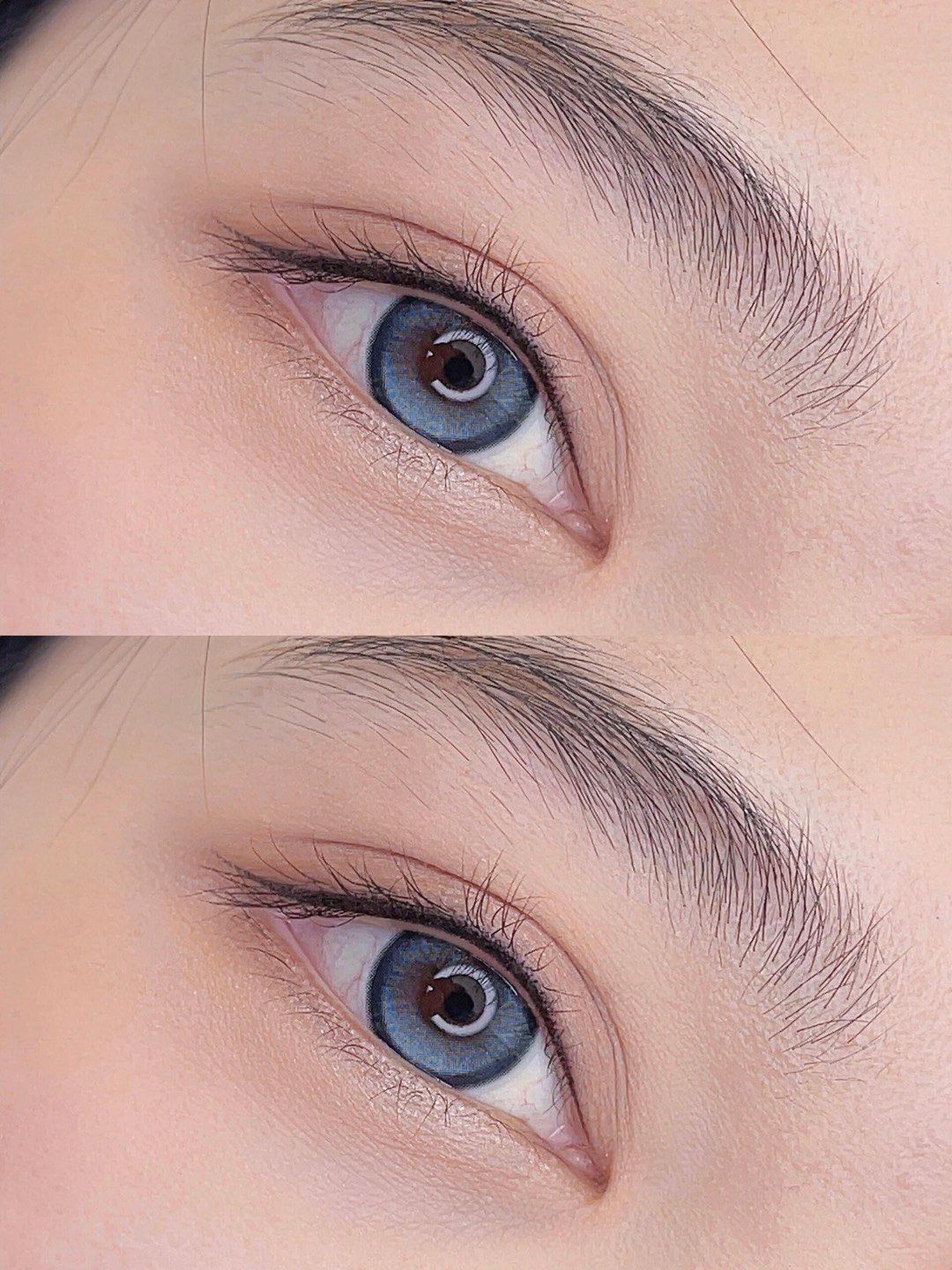 巧乐𝟐𝟎𝟐𝟒魅惑美瞳黑
▪眼