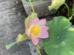 -故乡缘·香格里拉山庄(冷竹路店)