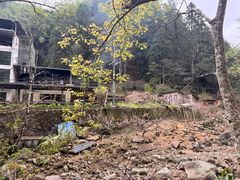 -炎陵县神农谷国家森林公园