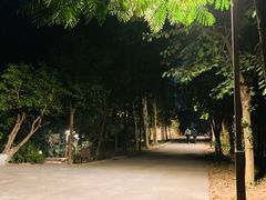 -南岗山公园