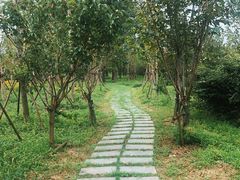 -柳鹭田园区