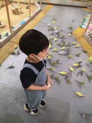 -七巧国萌宠乐园(龙湖天街店)
