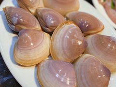 珍珠蚌-凯华海鲜火锅·传承三十六年