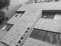 -香港大学