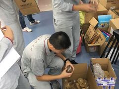 -上海市实验学校