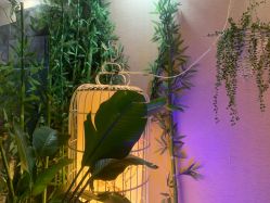 -威思丽高温瑜伽会馆