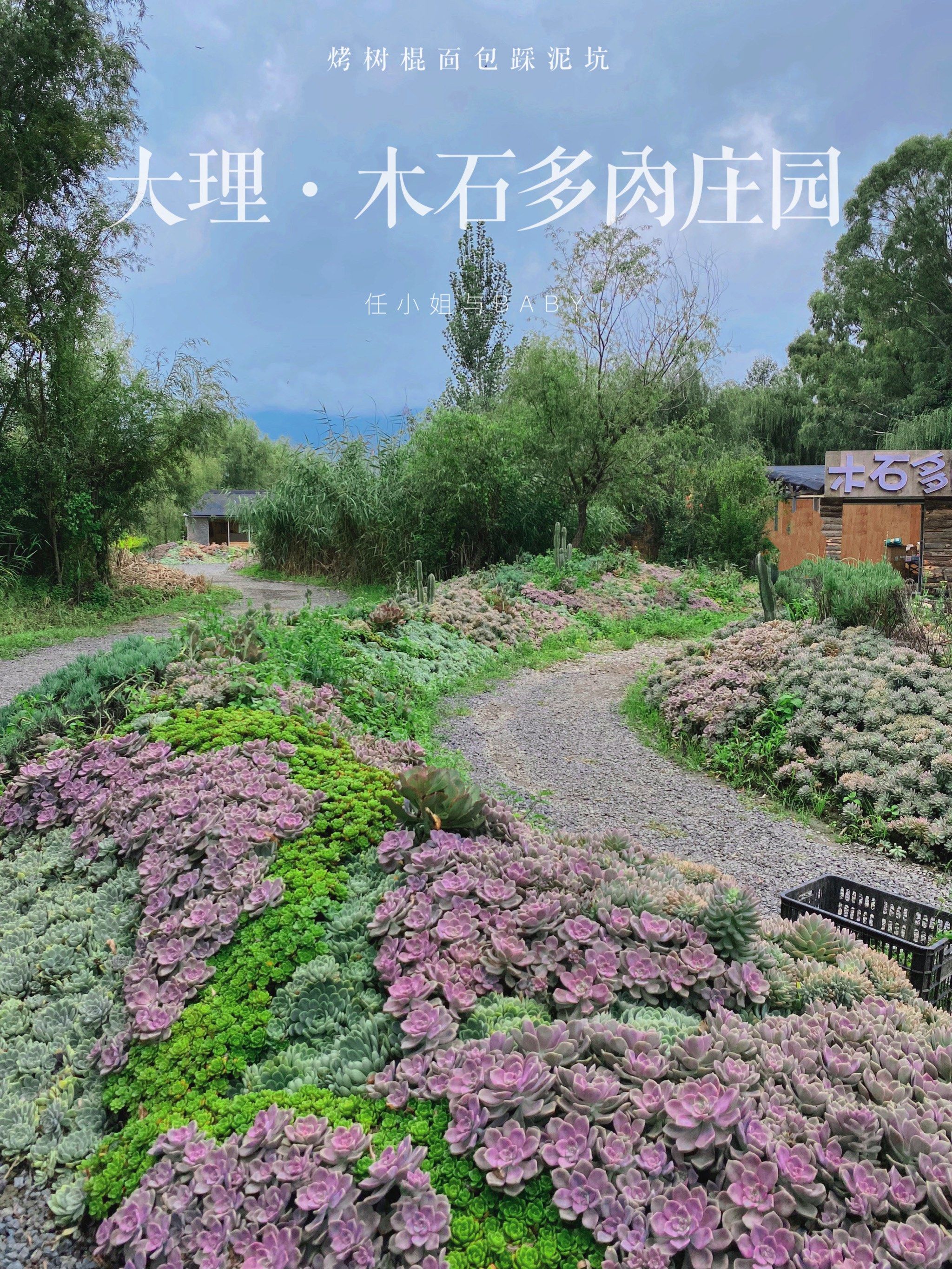 大理夏天的亲子课程(一)|在木石多肉庄园树棍烤面包,踩泥坑