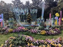 -共青国家森林公园-南大门停车场