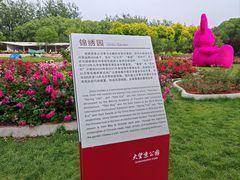 -大望京公园