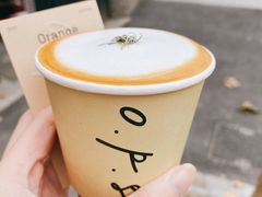 Orange&nbsp;Pillow-O.P.S. CAFE