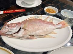 特色鱼饭-吴记富苑(朝阳店)