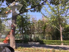 -雅逸居海鲜小厨