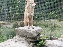 -宁波野生动物园