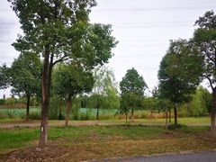 -南湖湿地公园