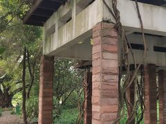 -晓港公园