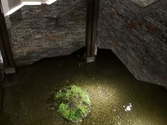 -几荷·恰似故人来(秀水广场店)