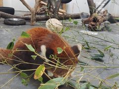 -西安秦岭野生动物园