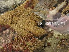 -清真·白记年糕(牛街北口店)
