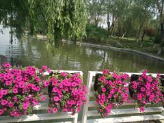 -石家庄市植物园