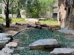 -北京野生动物园